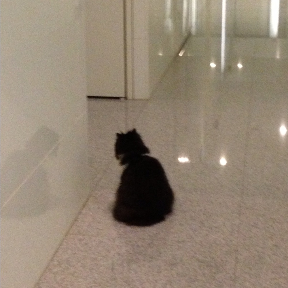 Meet your Posher, April